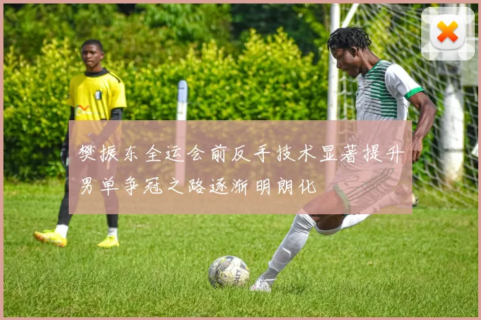 樊振东全运会前反手技术显著提升男单争冠之路逐渐明朗化