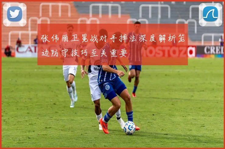 张伟丽卫冕战对手摔法深度解析笼边防守技巧至关重要