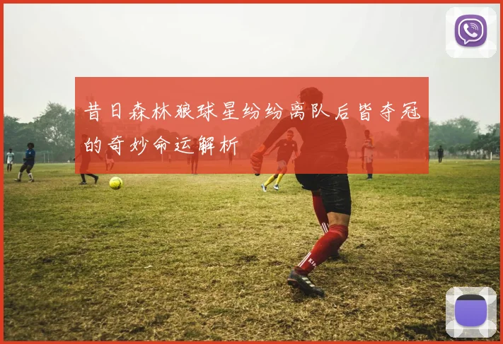 昔日森林狼球星纷纷离队后皆夺冠的奇妙命运解析